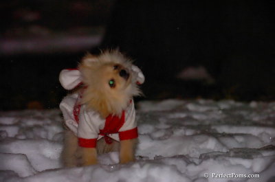 Dec20_07_057.JPG