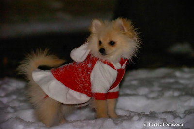 Dec20_07_058.jpg