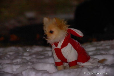 Dec20_07_060.jpg