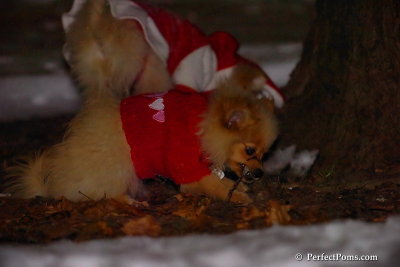 Dec20_07_061.jpg