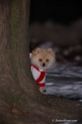 Dec20_07_063.JPG