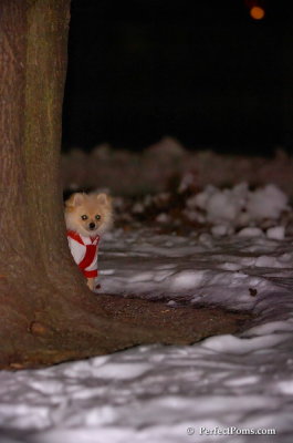Dec20_07_064.JPG