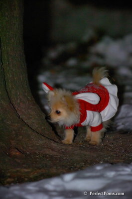 Dec20_07_065.JPG