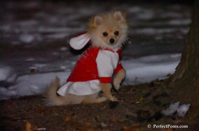 Dec20_07_066.JPG