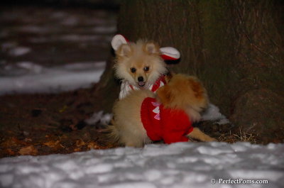 Dec20_07_067.JPG