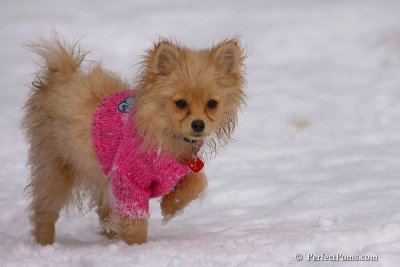 Jan1_08_700.JPG