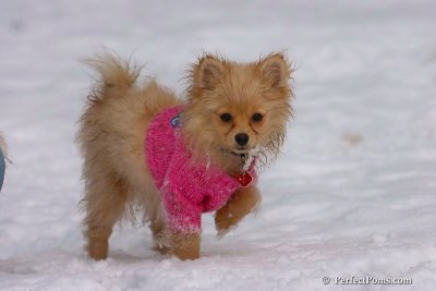 Jan1_08_701.JPG