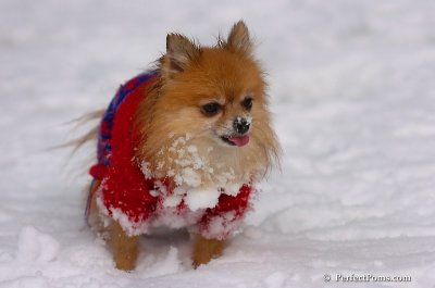 Jan1_08_702.JPG