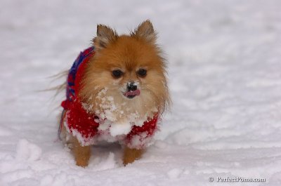 Jan1_08_704.JPG