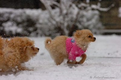 Jan1_08_287.JPG