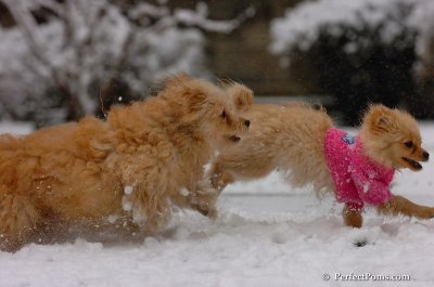 Jan1_08_288.JPG