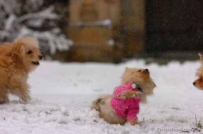 Jan1_08_289.JPG