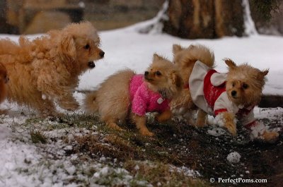 Jan1_08_298.JPG