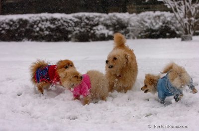 Jan1_08_307.JPG