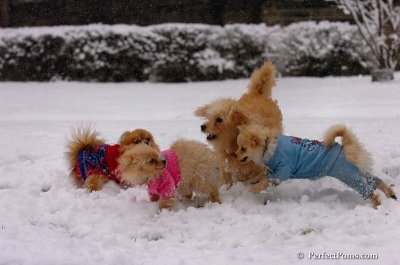 Jan1_08_308.JPG
