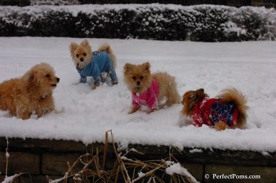Jan1_08_315.JPG