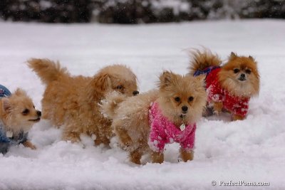 Jan1_08_325.JPG