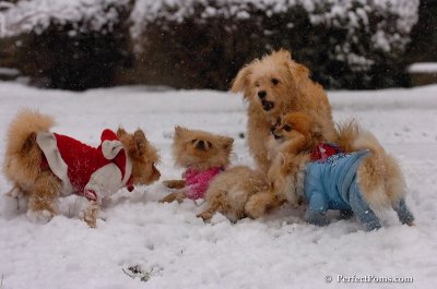 Jan1_08_329.JPG