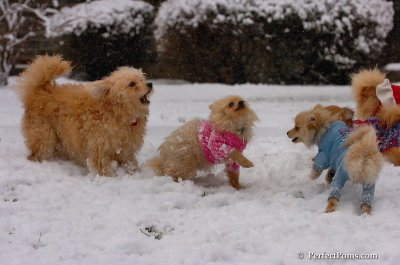 Jan1_08_330.JPG