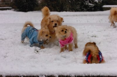 Jan1_08_338.JPG