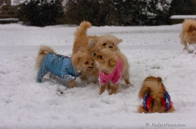 Jan1_08_339.JPG
