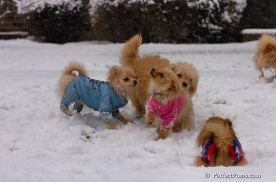 Jan1_08_340.JPG