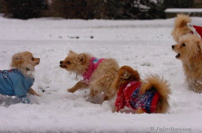 Jan1_08_343.JPG