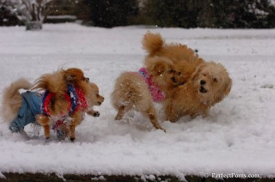 Jan1_08_344.JPG