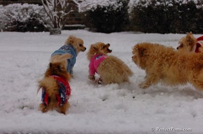 Jan1_08_346.JPG