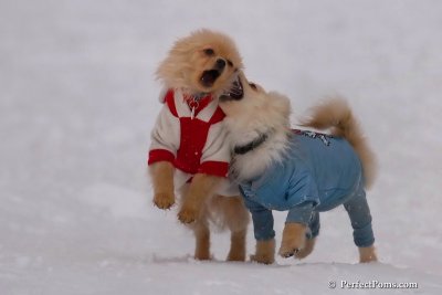 Jan5_08_334.jpg