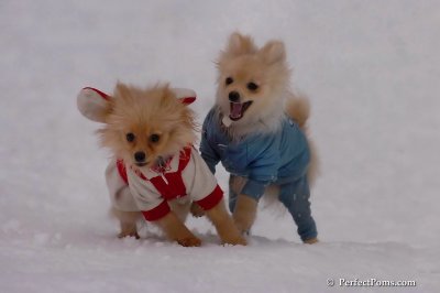 Jan5_08_336.jpg