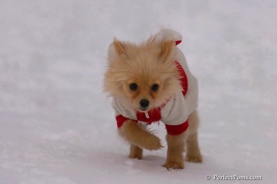 Jan5_08_338.jpg