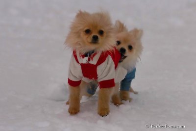 Jan5_08_339.jpg