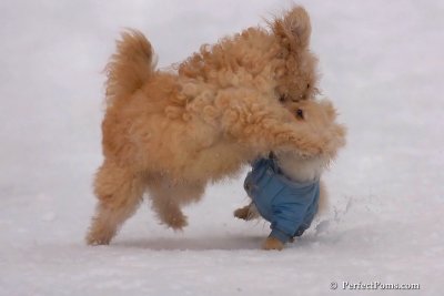 Jan5_08_340.jpg
