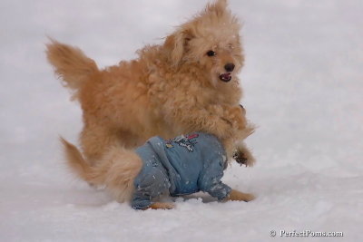 Jan5_08_343.jpg