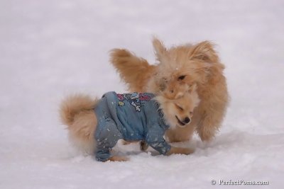 Jan5_08_344.jpg