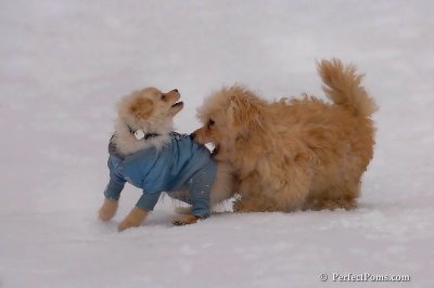 Jan5_08_348.jpg