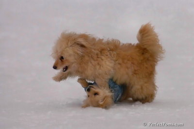 Jan5_08_350.jpg