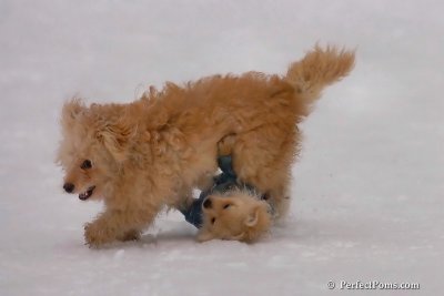 Jan5_08_351.jpg