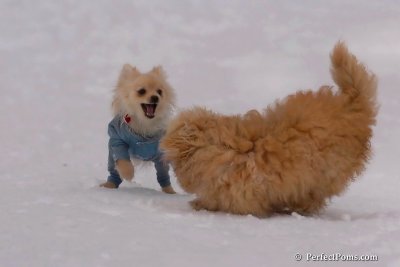 Jan5_08_355.jpg