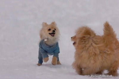 Jan5_08_356.jpg