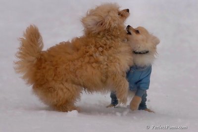 Jan5_08_357.jpg