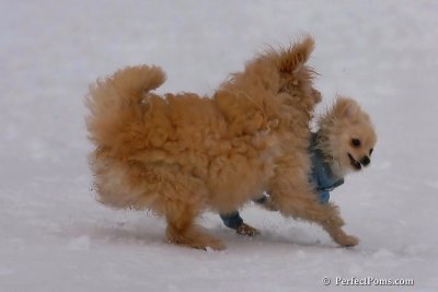 Jan5_08_359.jpg