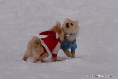 Jan5_08_360.jpg