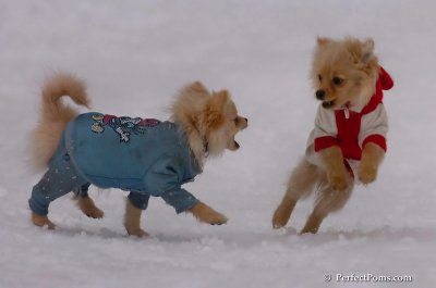 Jan5_08_362.JPG