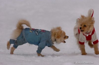 Jan5_08_363.JPG