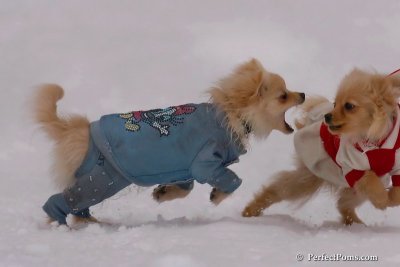 Jan5_08_364.jpg