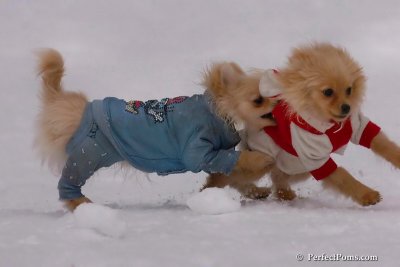 Jan5_08_365.jpg