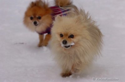 Jan5_08_366.JPG