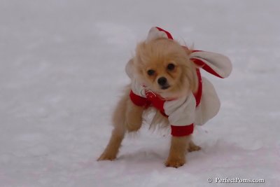 Jan5_08_369.jpg